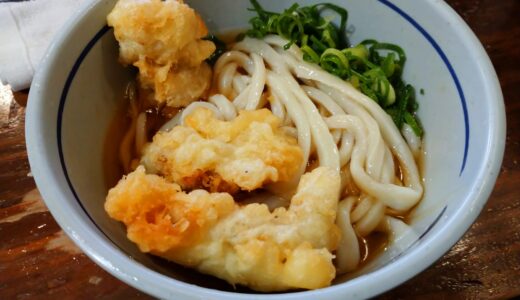 久しぶりの五反田　「おにやんま」とり天ぶっかけうどんを食べました