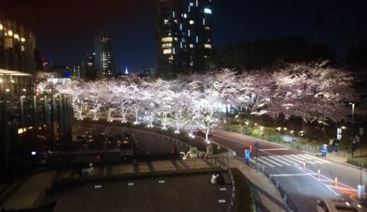 東京ミッドタウンで夜桜！満開でしたが、こんなご時世なので、人も少なめでした！